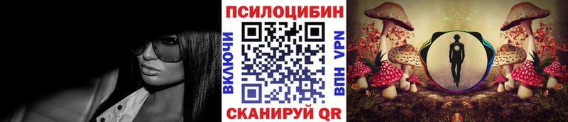 Псилоцибиновые грибы MAGIC MUSHROOMS  Купить закладки  Ачхой-Мартан 